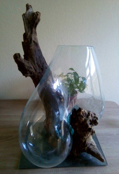 Vases verre soufflé sur racine