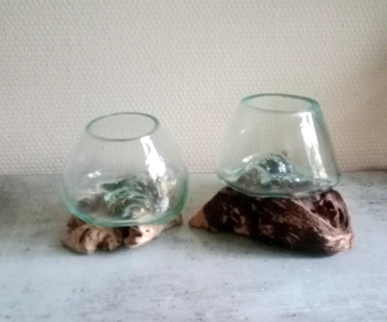 Duo de bols verres soufflés sur racines